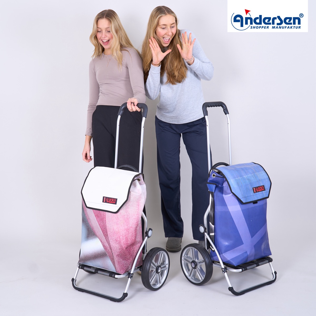 Andersen Royal Shopper Truck 2 roues à roulement à billes 25 cm – Image 2