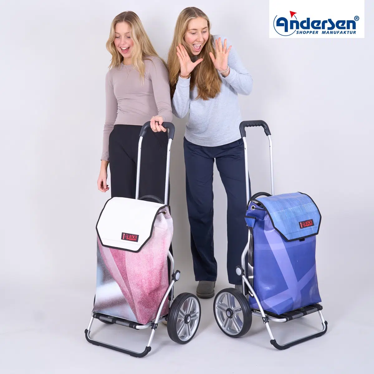 Andersen Royal Shopper Truck 2 roues à roulement à billes 25 cm – Image 2