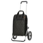 Andersen Royal Shopper Inra 2 roue à rayons 25 cm