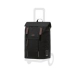 Sac Andersen Basil City